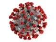 SITE_Coronavirus-1-1140