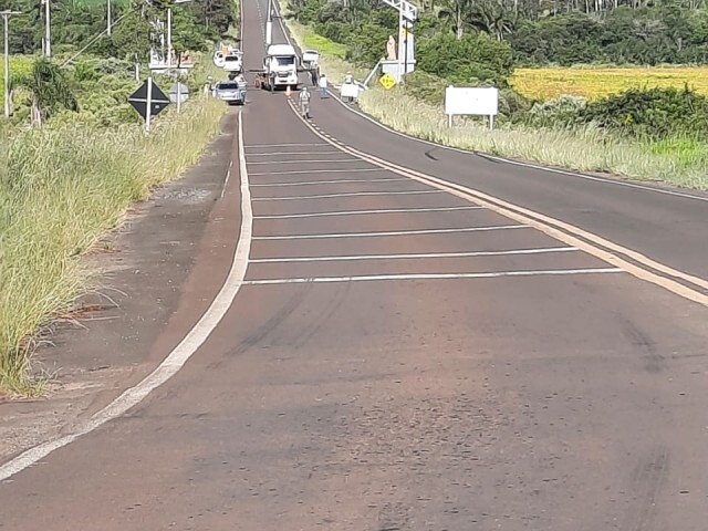 Imagem: Guarda Municipal 