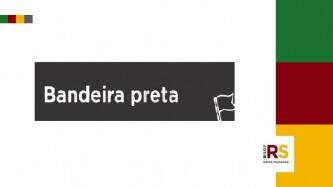 Governo autoriza pegue e leve em petshops e atendimento individual para reabilitação em academias