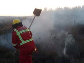 ABVT atende chamada para combater fogo em vegetação da região do Abacatu