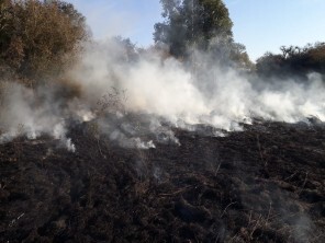 Bombeiros Voluntários atendem chamado na Comunidade de Santa Rosa Bolsão 4