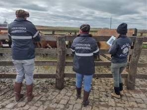 Polícia Civil de Formigueiro Deflagra a segunda fase da operação Reculuta