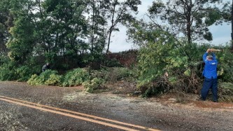 Temporal com fortes rajadas de vento e chuva de granizo geram estragos em Tupanciretã