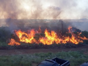 Incêndio atinge área de campo do Complexo Tupanciretã - Atualizada