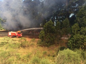 Bombeiros estão atendendo chamado de incêndio em vegetação 