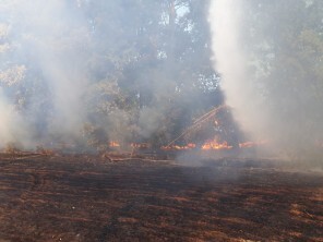 Incêndio consumiu cerca de 5000m² na tarde de quarta-feira