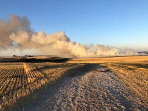 Incêndio na propriedade de Armindo Mugnol causa perda de  80 hectares