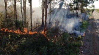 Incêndio em vegetação as margens da Faixinha.