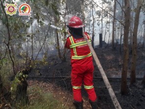 UBVT combateu chamas em uma vegetação na Comunidade Nova Tupã