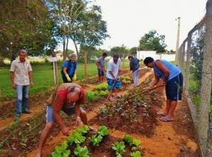 Furto de mandioca da horta do Hospital de Caridade Brazilina Terra é relatado pela Gestora Fernanda Crescente