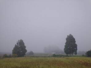 Chuva predomina, e INMET mantém alerta para Tupanciretã