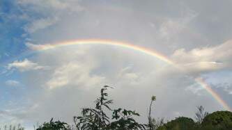 Durante fim de semana de Abertura da Colheita da Soja, chuva marca presença