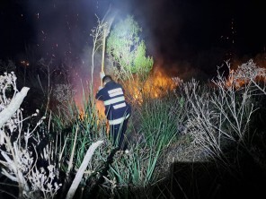 Bombeiros Voluntários combatem incêndio em área de vegetação