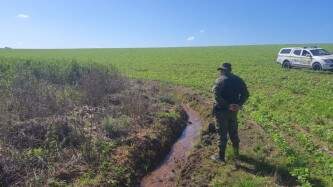 Batalhão Ambiental constatam crime contra flora no interior de Tupanciretã