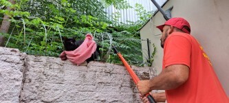 Bombeiros Voluntários de Tupanciretã salvam gato e controlam incêndio