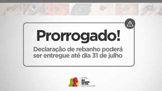 Prazo para realizar a declaração de rebanho se encerra em 31 de Julho