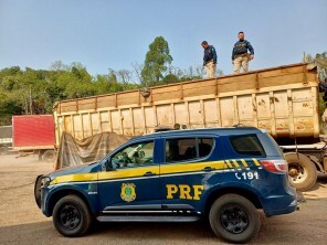 PRF apreende carreta com placas de Tupanciretã carregada com maconha e skunk