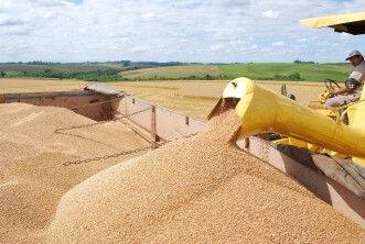 Conab prevê maior safra da história do Rio Grande do Sul 